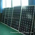 mono and polycrystalline silicon solar