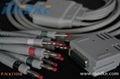 Burdick EKG CABLE