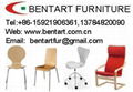 bentwood furniture 1