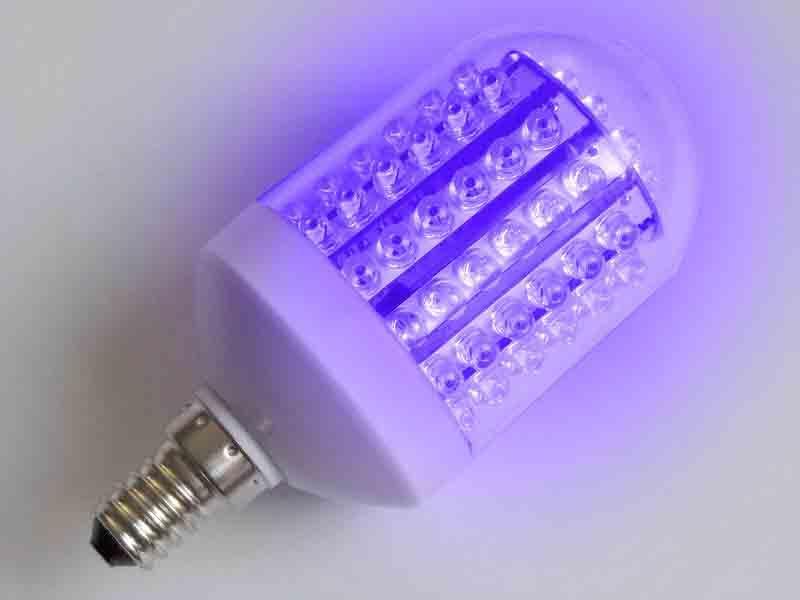 LED BULB