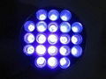 21 UV LED Flashlight 3
