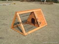 rabbit house