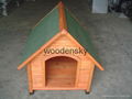 dog house 2