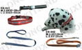 pet leash&collar 1