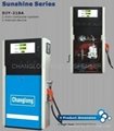 Manual & electric Dual-function fuel dispenser DJY-218A 2