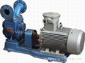 Gear Pump with motor 1