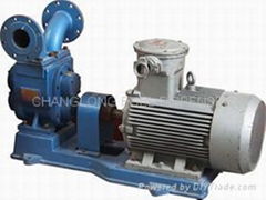 Gear Pump with motor