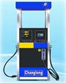 2 nozzles fuel dispenser (DJY-121A  3 models) 1