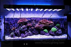 Cheap Waterproof Flexible LED strip light for aquarium 453nm blue color
