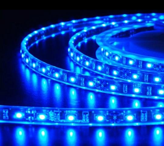 Cheap Waterproof Flexible LED strip light for aquarium 453nm blue color 4