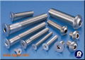 stainless steel screw