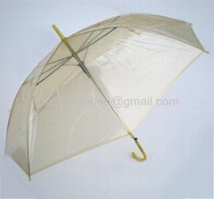 umbrella transparent