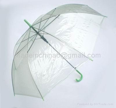 umbrella transparent 2
