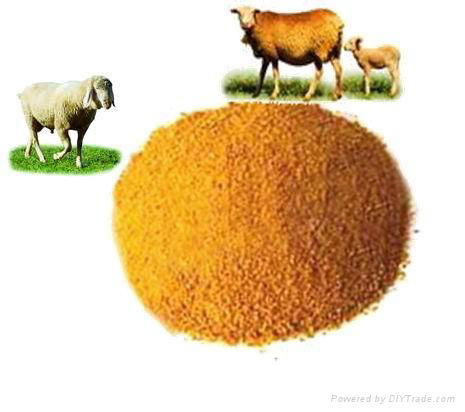 corn gluten meal 3