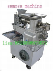 dumpling machine spring roll machine samosa macine