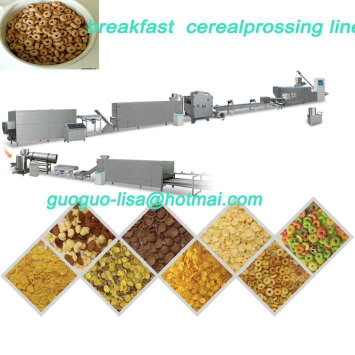 screw Shell snack food processing line 4