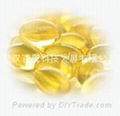 DHA winterized oil ( Docosahexaenoic acid )