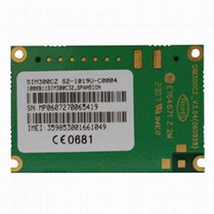 GSM/GPRS module