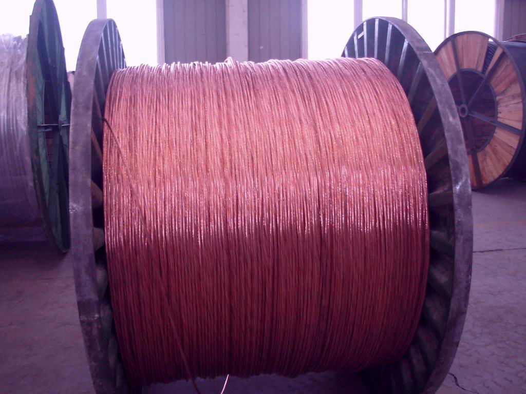 Bare Copper Conductor