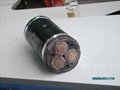 XLPE CABLE 4