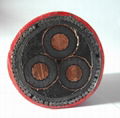 ARMOURED CABLE 2
