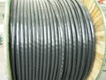 ARMOURED CABLE 3