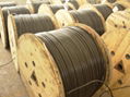 ELECTRICAL WIRE