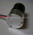 Dia.40X70mm BLDC Motor 4