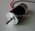 Dia.40X70mm BLDC Motor 5