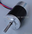 Dia.36X60mm BLDC Motor