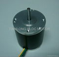 Dia.57 X 65mm BLDC Motor 3