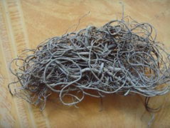 Valerian root / Valerian root extract