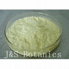 Lyophilized Royal Jelly Powder