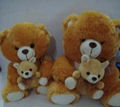 Plush Bears