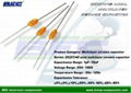 Axial Multilayer Ceramic Capacitor 1