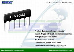 Thick-film Resistor Networks