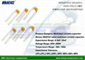 Radial Multilayer Ceramic Capacitor 1