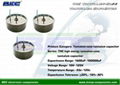 THC Series High-energy Wet Tantalum Capacitor 1