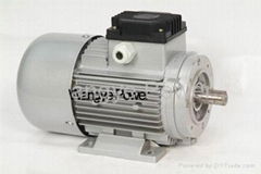 Three-phase Electric motor