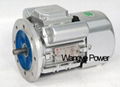 Single-phase Induction Motor 1