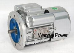 Single-phase Induction Motor