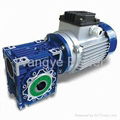 NMRV Worm Gear Motor