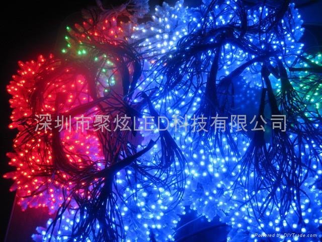 深圳 LED 发光字灯串 5