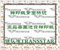 TRANSSTAR转印纸 2