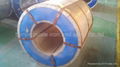 B GRADE PPGI STEEL COIL 1