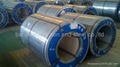 B GRADE PPGI STEEL COIL 3