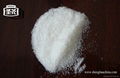 monosodium glutamate 4