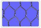 Hexagonal Wire Mesh 2