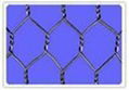 Hexagonal Wire Mesh 2