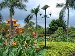 Solar Garden Lamp 